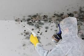 Best Industrial Mold Remediation  in Newington Forest, VA